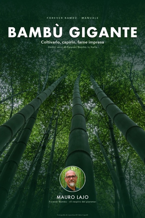 Copertina del libro Il Bambù Gigante