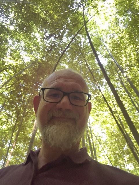 Mauro Lajo nella foresta di bambù gigante
